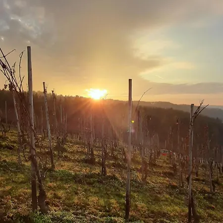 Express - By Ihg 酒店