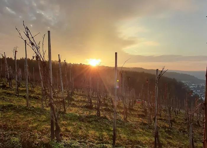 Express - By Ihg 酒店